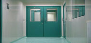 wooden flush door